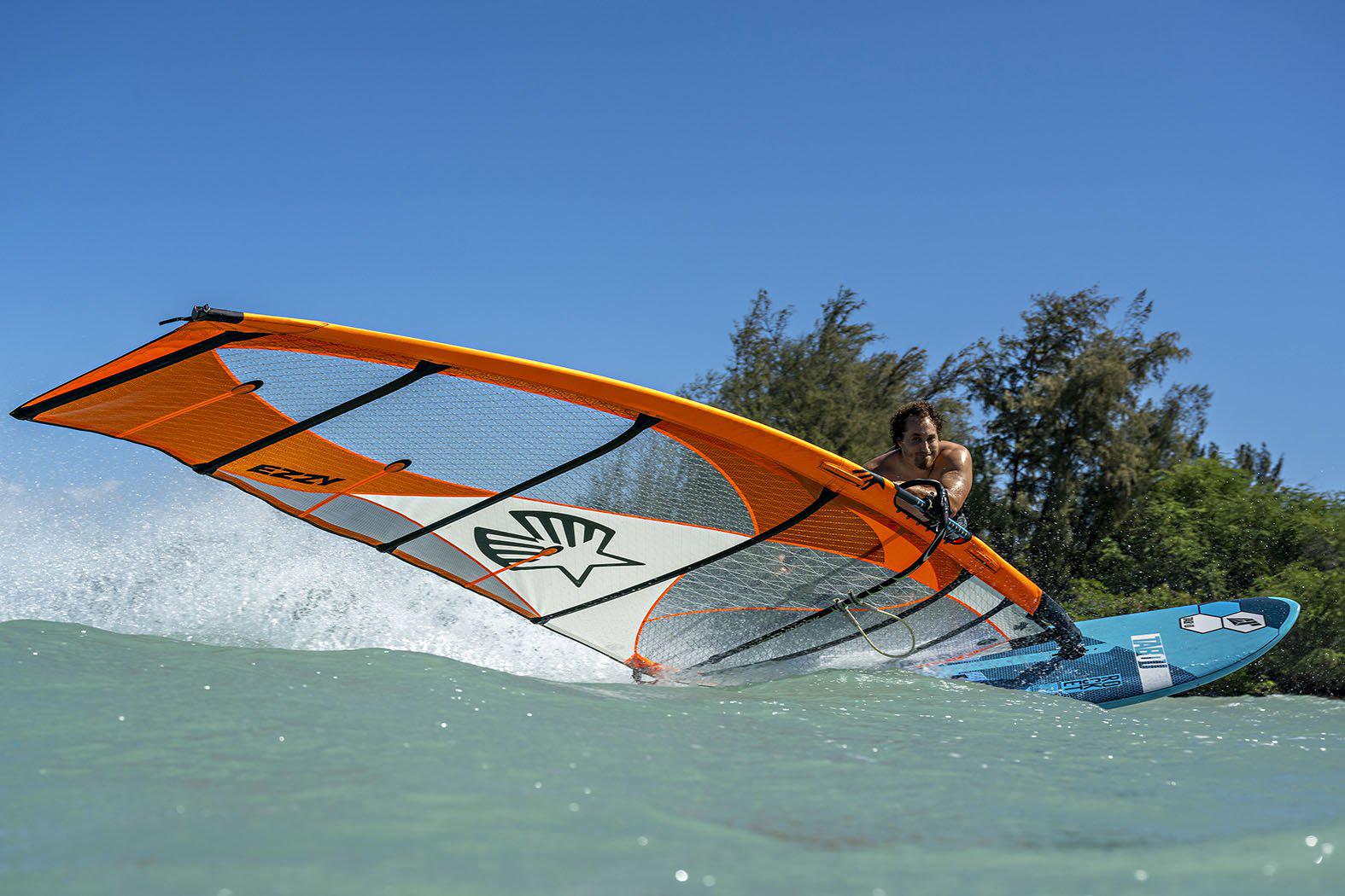 Ezzy Sails - NEW Lion