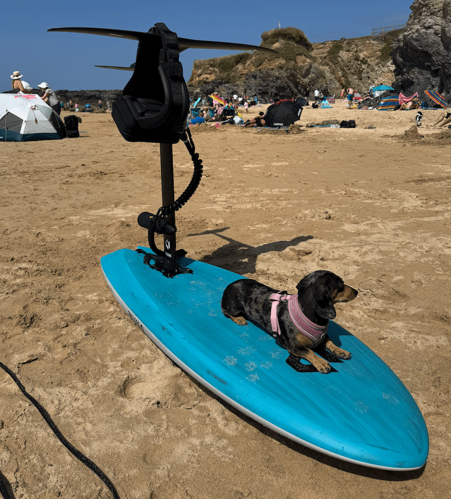 Duotone Foil Assist Boards - Worthing Watersports