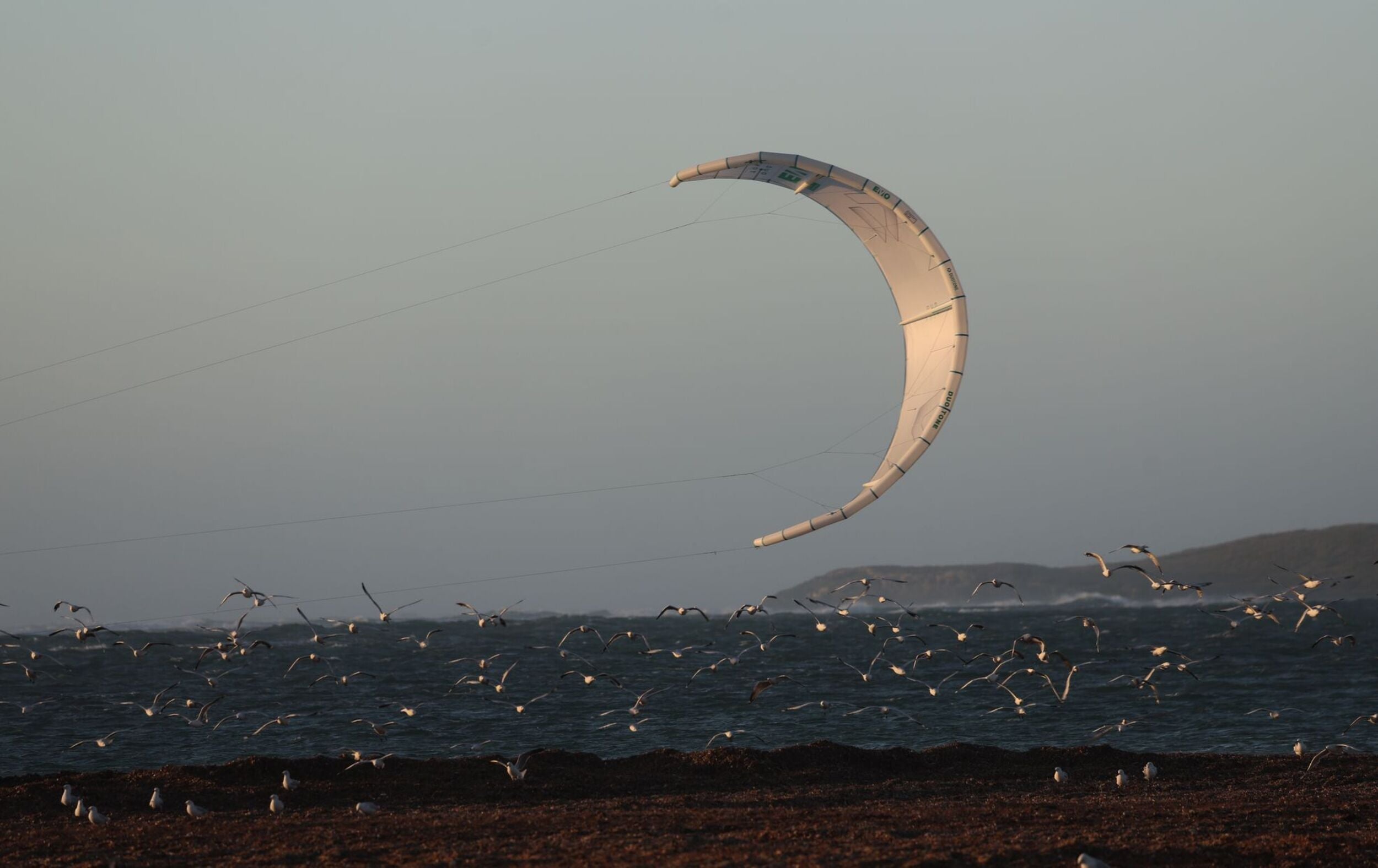 Duotone Evo Concept Blue 2025