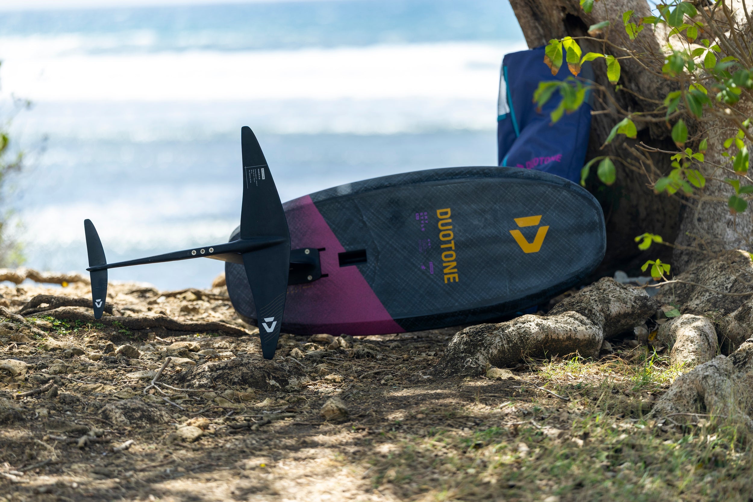 Duotone Front Wing Carve 3.0 D/LAB