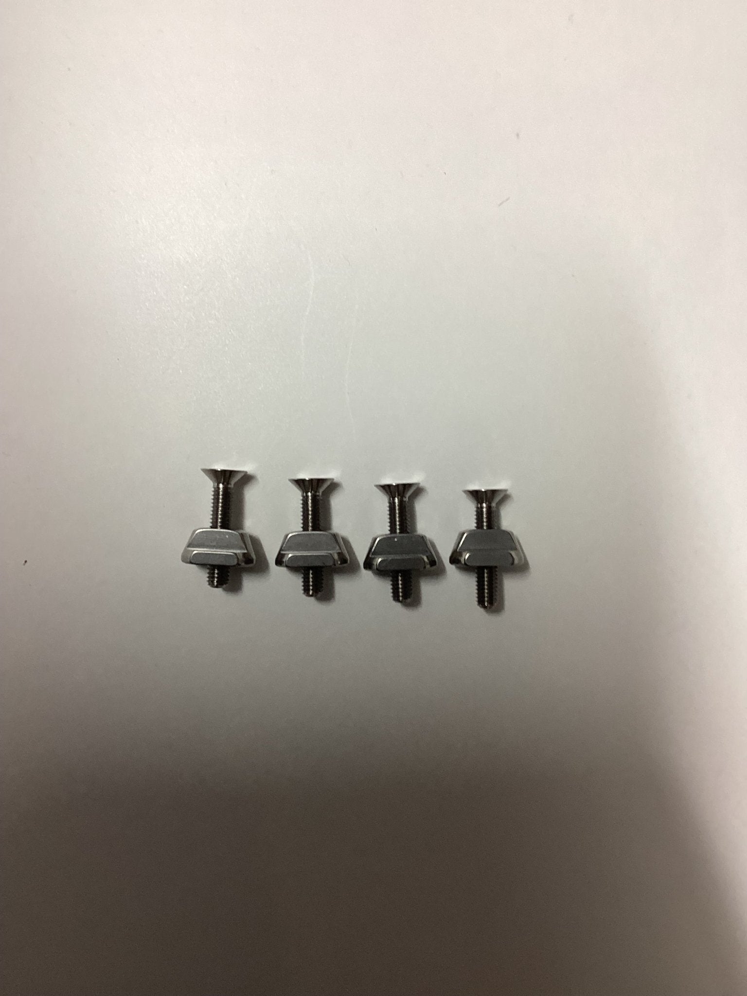 Titanium Track Nut T-Nut set
