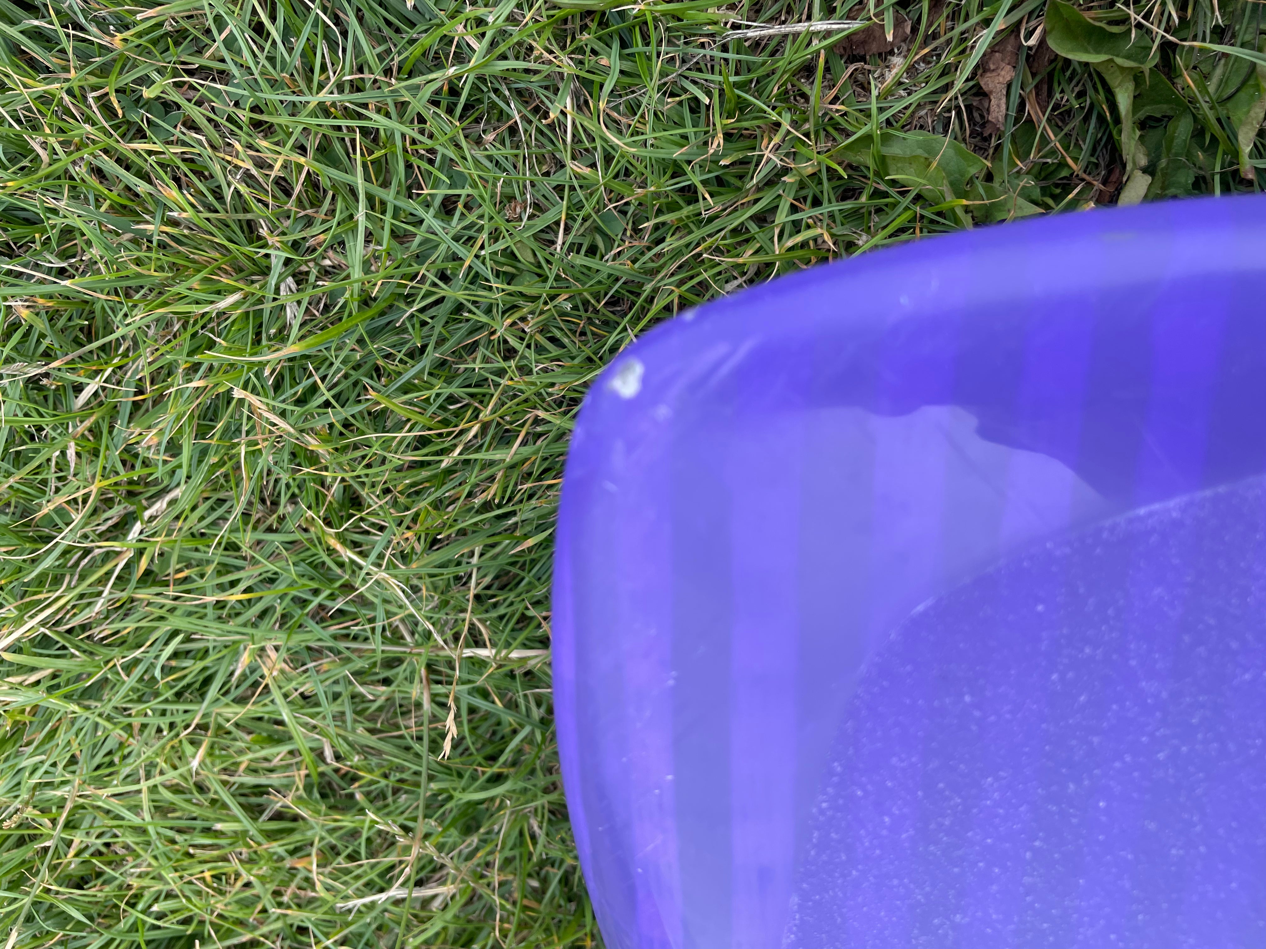 Used Fanatic Grip 2023 81 liters