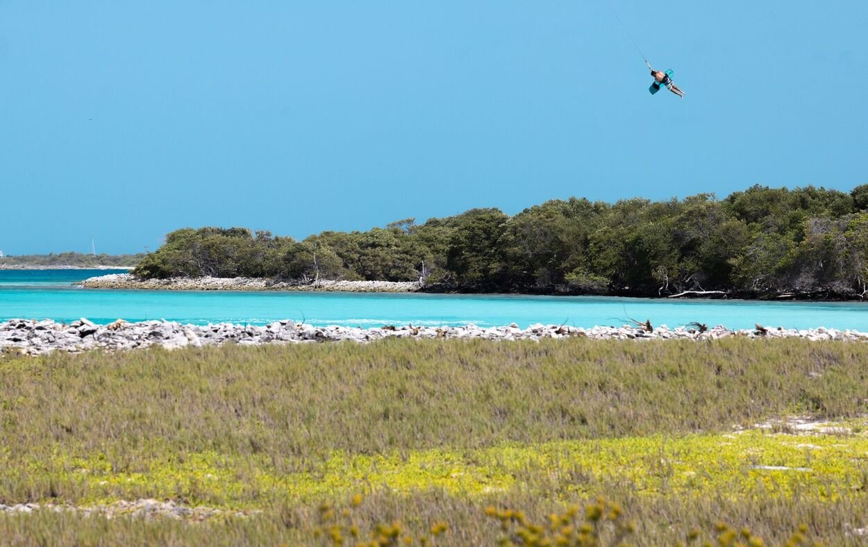 Duotone Click Bar Quad Control 2026 - Worthing Watersports - 9010583292984 - Bars - Duotone Kiteboarding