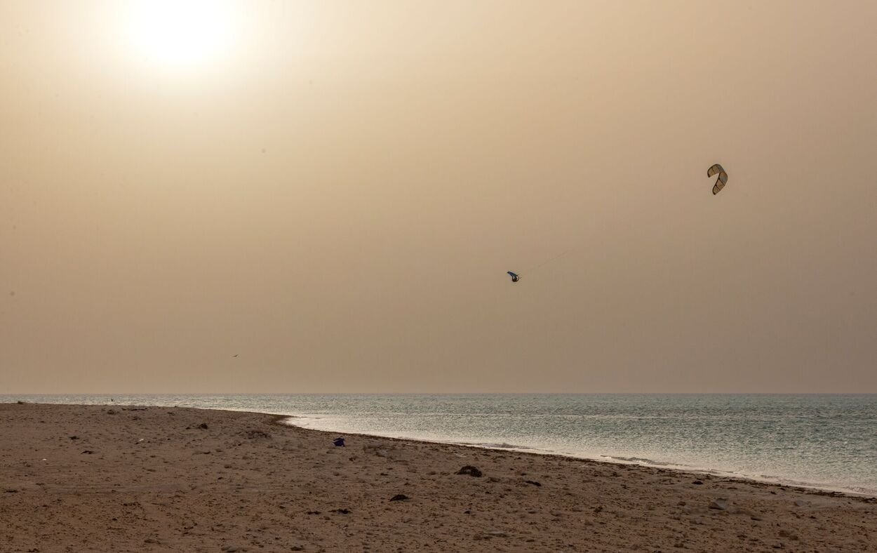 Duotone Rebel SLS 2026 - Big air Kite - Worthing Watersports - 9010583286518 - Kites - Duotone Kiteboarding