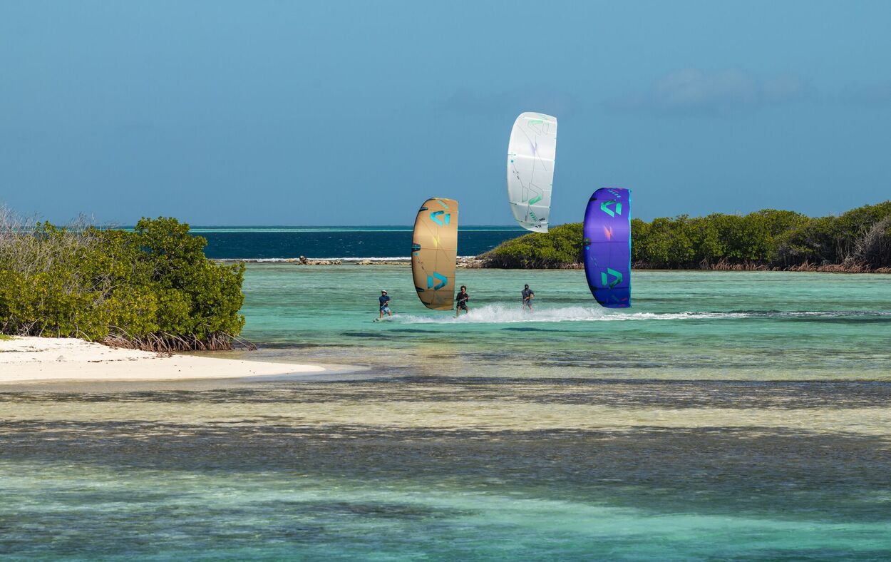 Duotone Rebel SLS Concept Blue - Big Air Kite - Worthing Watersports - 9010583286600 - Kites - Duotone Kiteboarding