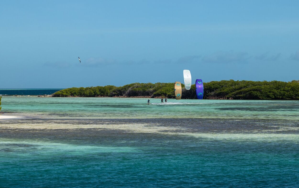 Duotone Rebel SLS Concept Blue - Big Air Kite - Worthing Watersports - 9010583286600 - Kites - Duotone Kiteboarding