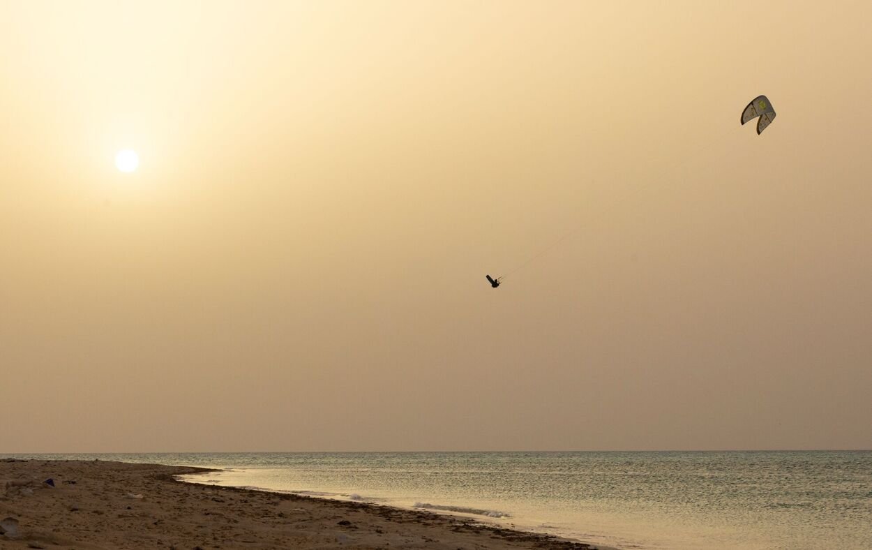 Duotone Trust Bar Quad Control 2026 - Worthing Watersports - 9010583292717 - Bars - Duotone Kiteboarding