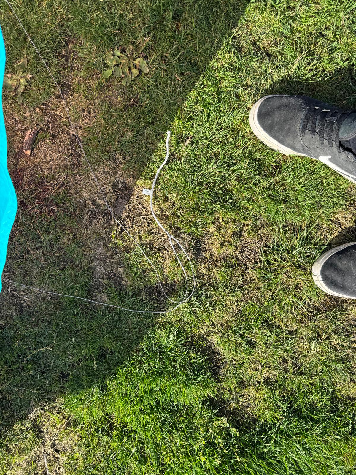 Used Duotone Evo SLS 13m 2024 - Worthing Watersports -  - Kites - Duotone Kiteboarding