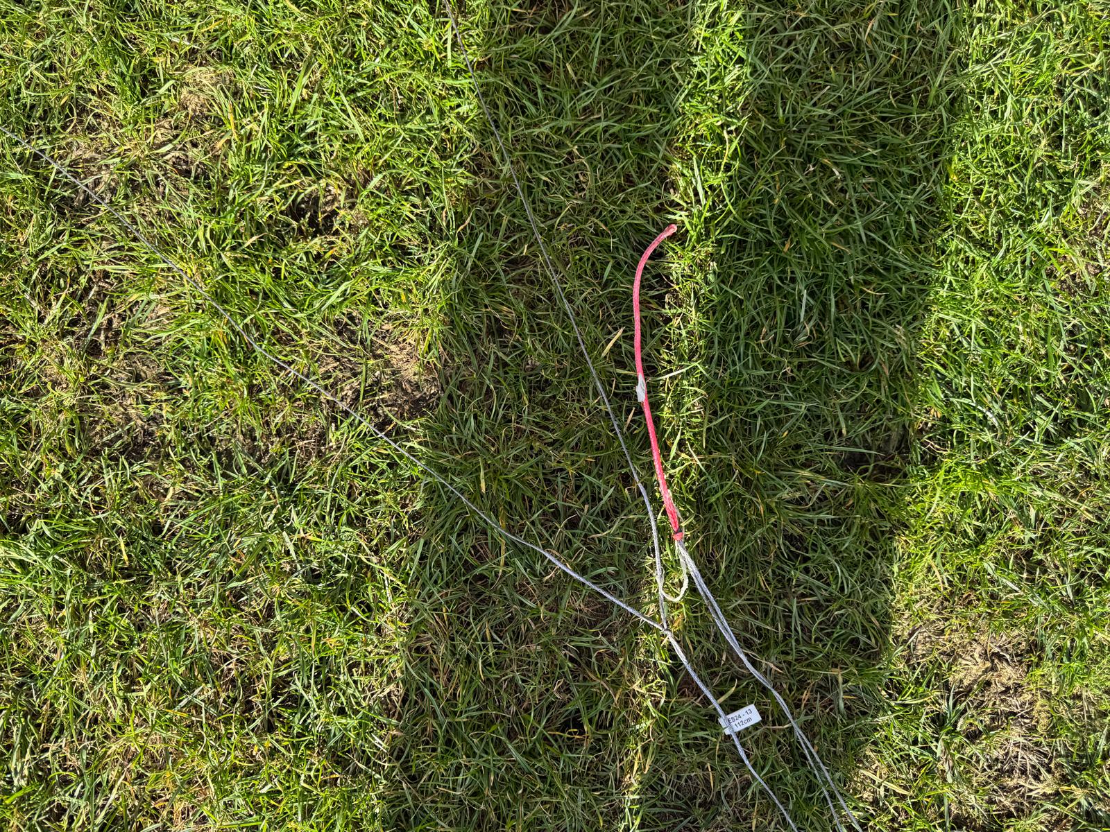 Used Duotone Evo SLS 13m 2024 - Worthing Watersports -  - Kites - Duotone Kiteboarding