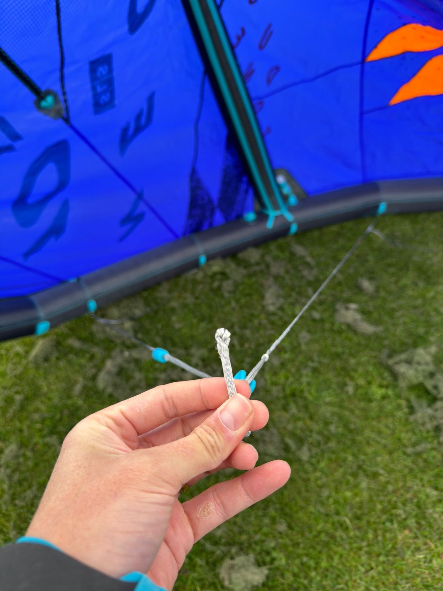 Used Duotone Kite Neo SLS 10m 2025 - Worthing Watersports - Kites - Duotone Kiteboarding