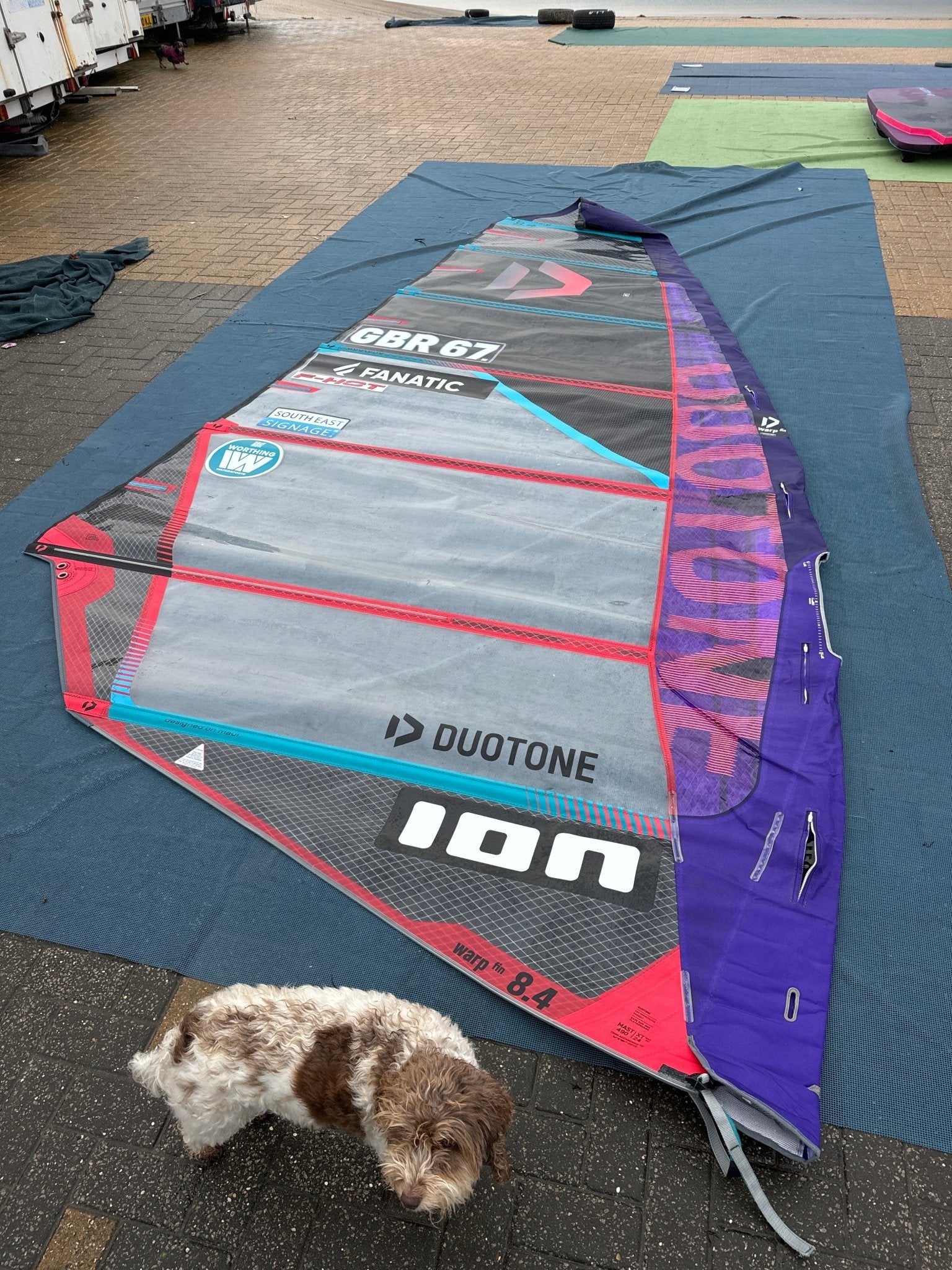 Used Duotone Warp Fin 2023 8.4 - Worthing Watersports - Windsurfing Sails - Duotone Windsurfing