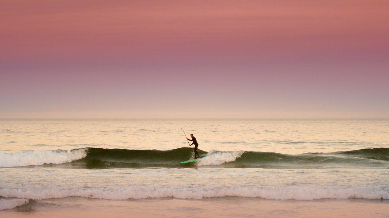 Fanatic Stylemaster Bamboo 2023