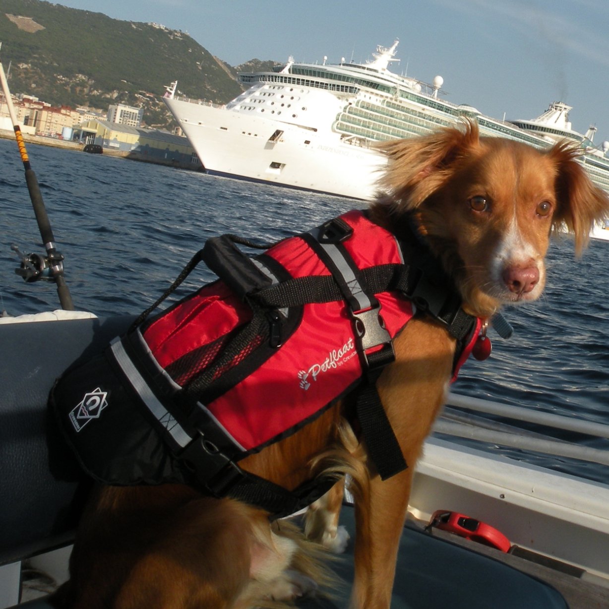 Crewsaver Pet Float - Worthing Watersports - 2370-XS - Pet Carrier & Crate Accessories - Crewsaver